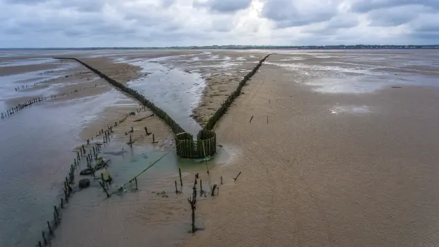 Holzstruktur umgeben von Wasser in einer sumpfigen Landschaft