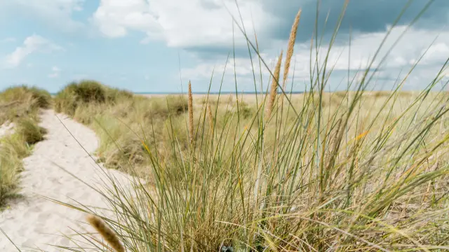 Chemin de sable dans le havre de Geffosses