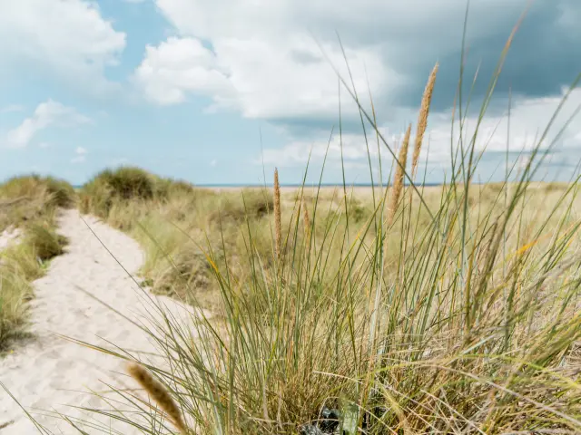 Chemin de sable dans le havre de Geffosses