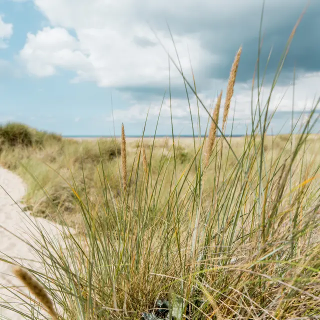 Voiliers amarrés dans un port au coucher du soleil