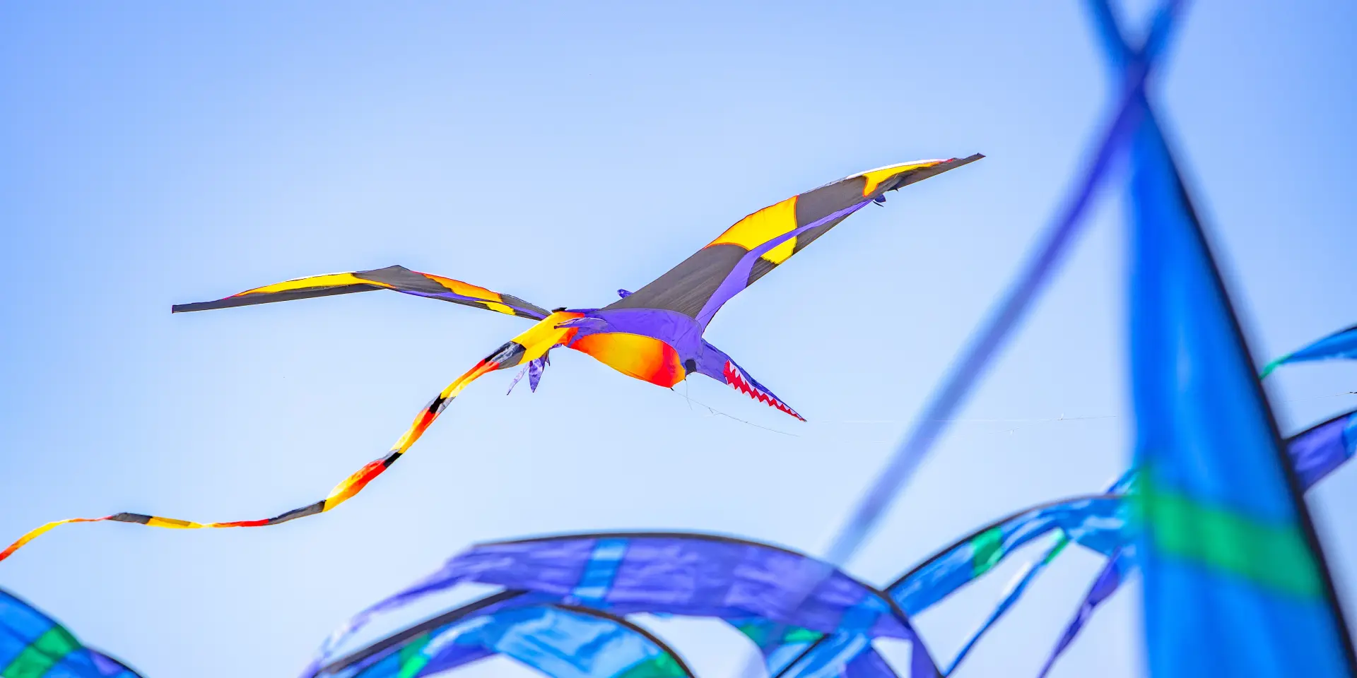 Colorful bird-shaped kite flying in the sky