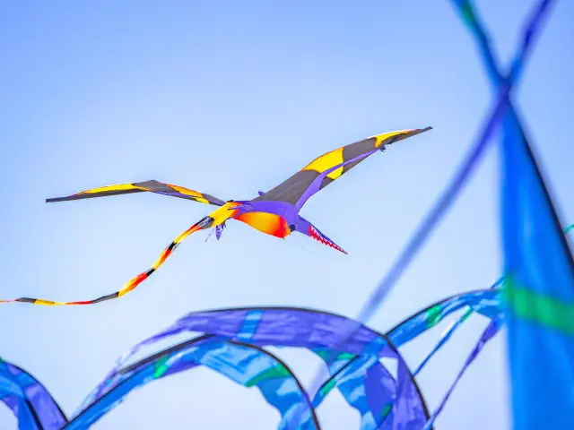 Segelboote am Hafenbecken mit leuchtend bunten Rümpfen