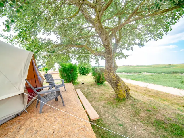 Tente de camping avec des chaises sous un grand arbre au camping du havre de Regnéville