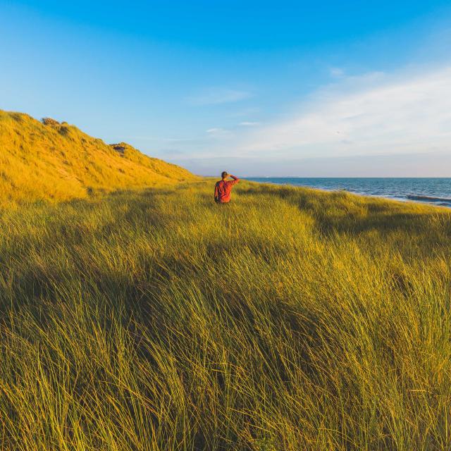 Dunes d'Annoville et nature sauvage