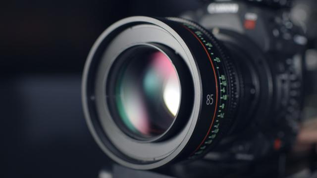 Photothèque presse de COutances Tourisme