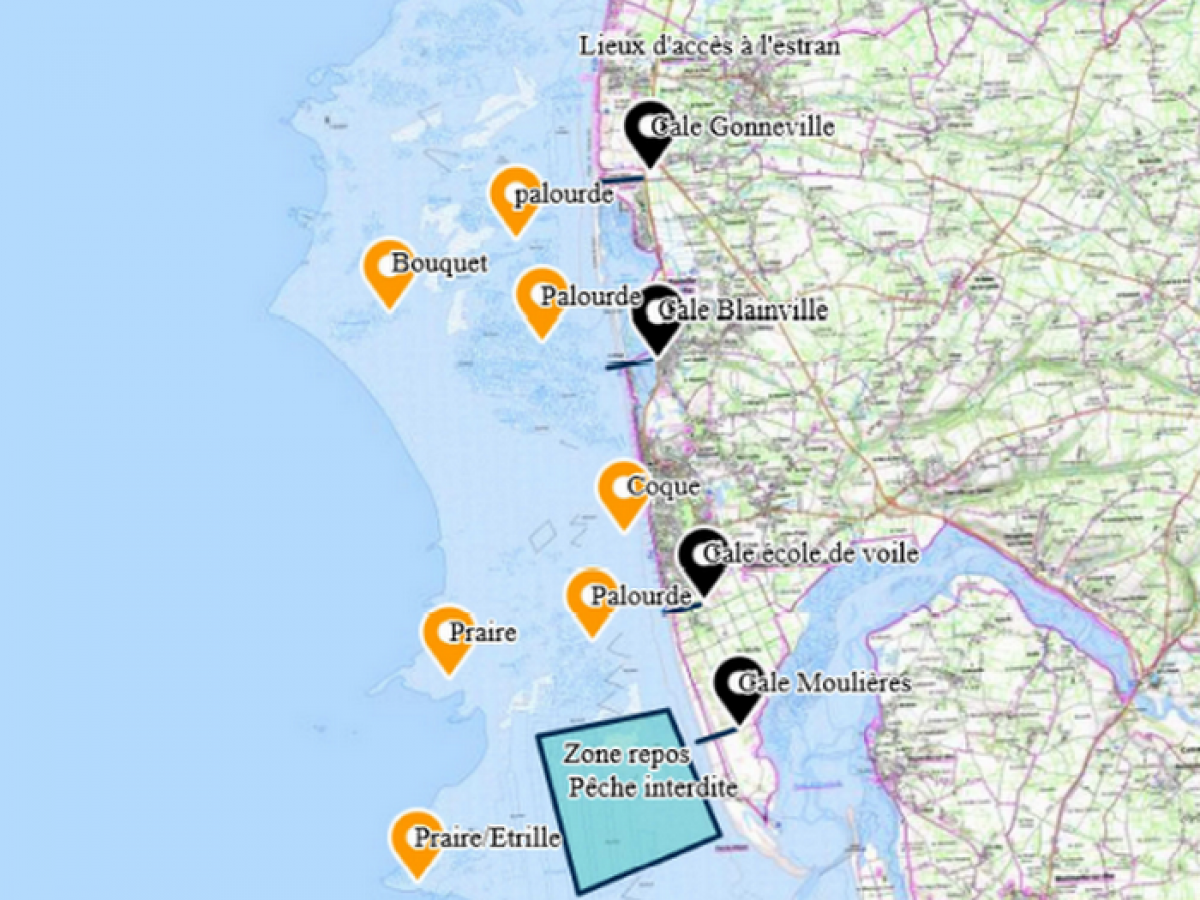 Where to fish ? Coutances Tourisme Organisez vos vacances dans la Manche Where to fish ? Coutances Tourisme Organisez vos vacances dans la Manche
