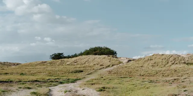 Un sentier dans le havre de la Vanlée