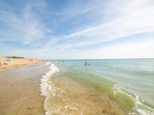 Personnes se baignant et se relaxant sur une plage de sable