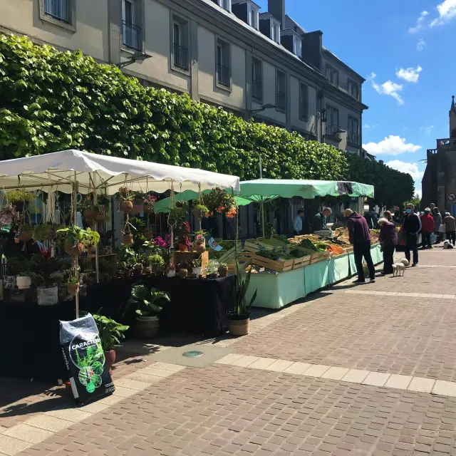 Marché en plein air avec des stands de fleurs et de légumes à Coutances