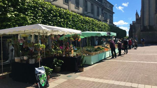 Marché De Coutances