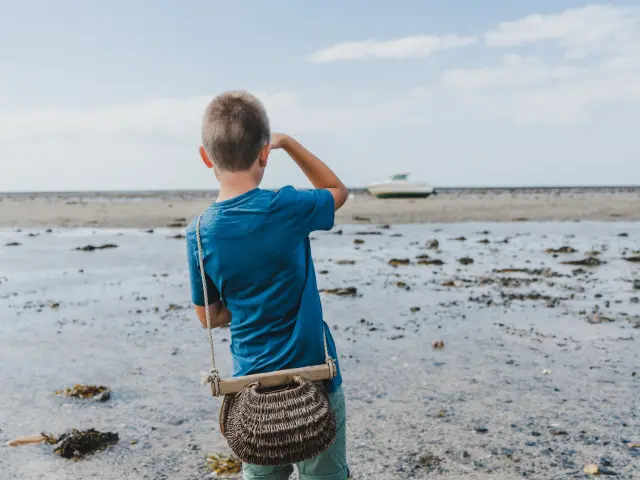 Un enfant observe l'horizon sur une plage durant la pêche à pied