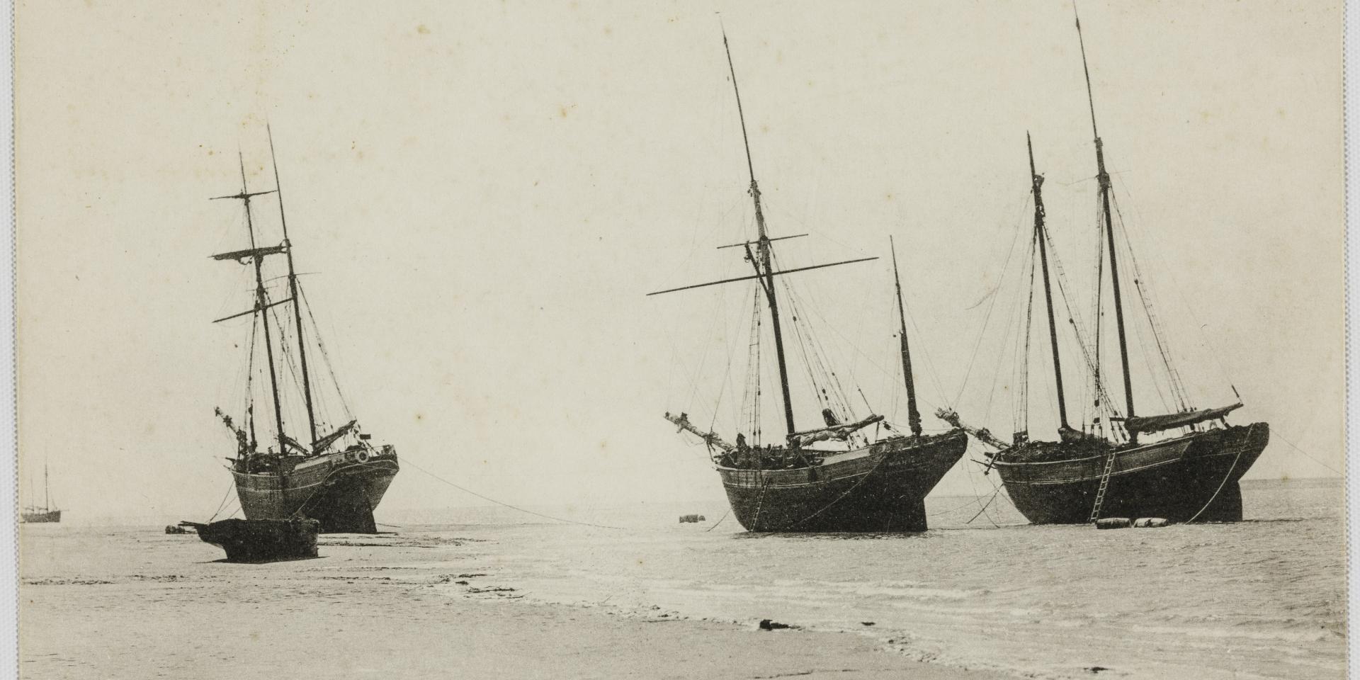 Navires échoués Dans Le Port De Regnéville à La Fin Du Xixe Siècle