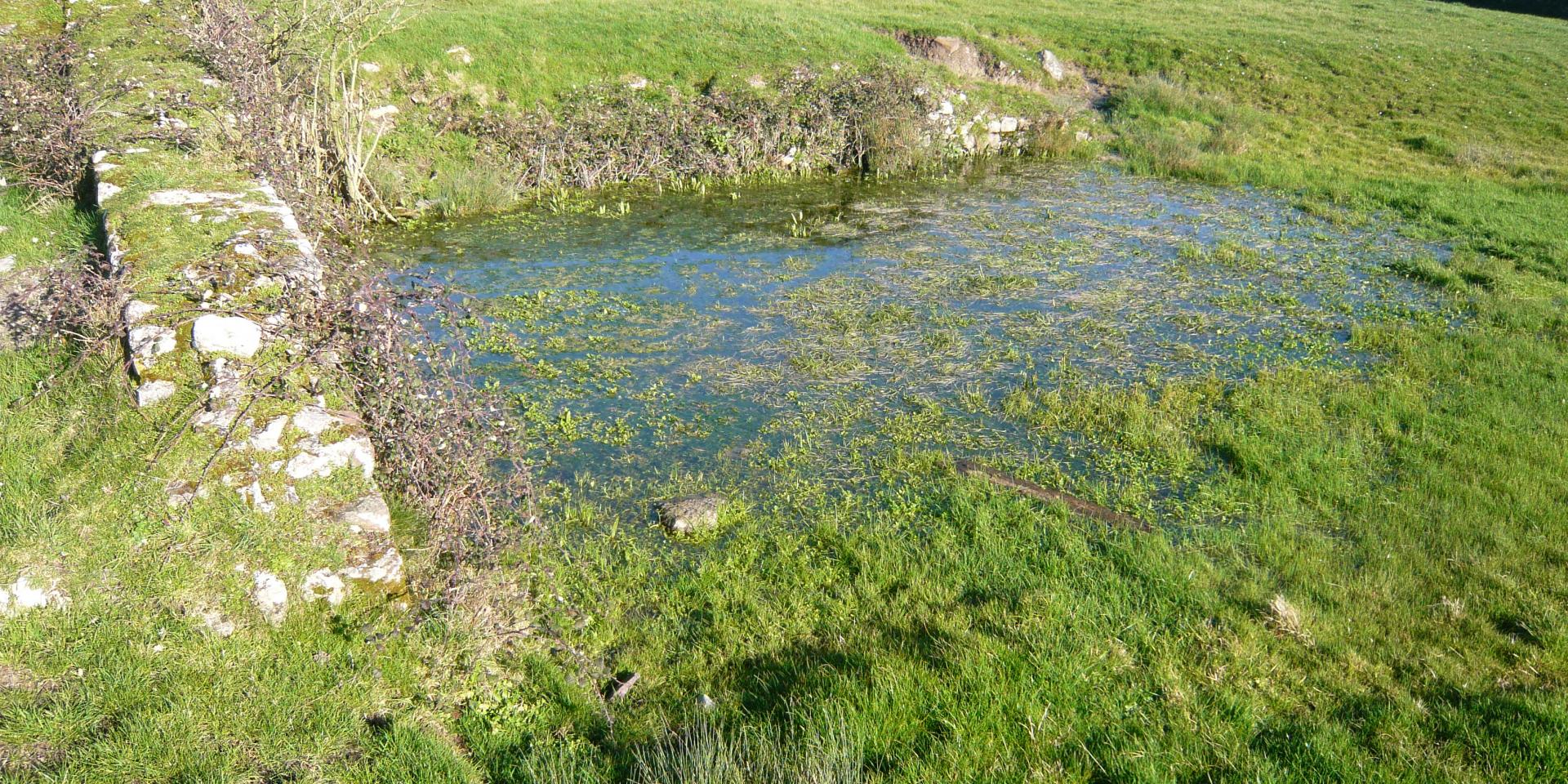 Routoir Et Puits De Regnéville