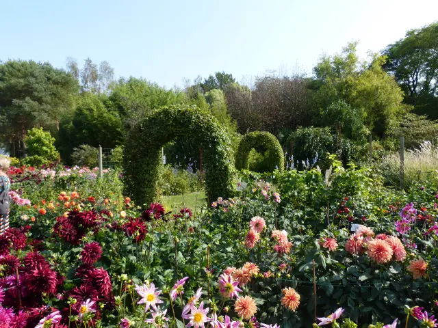 Garten mit bunten Blumen und grünen Bögen