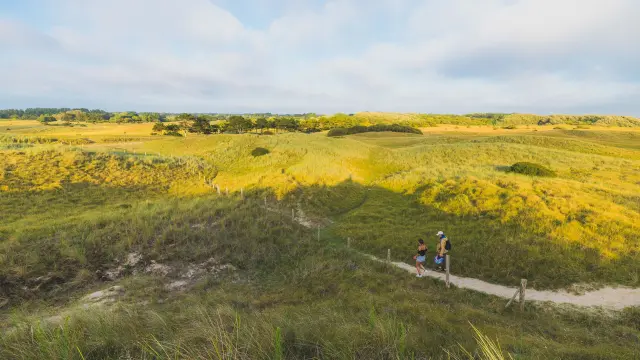 Two people walking on a trail in hills covered with yellow flowers