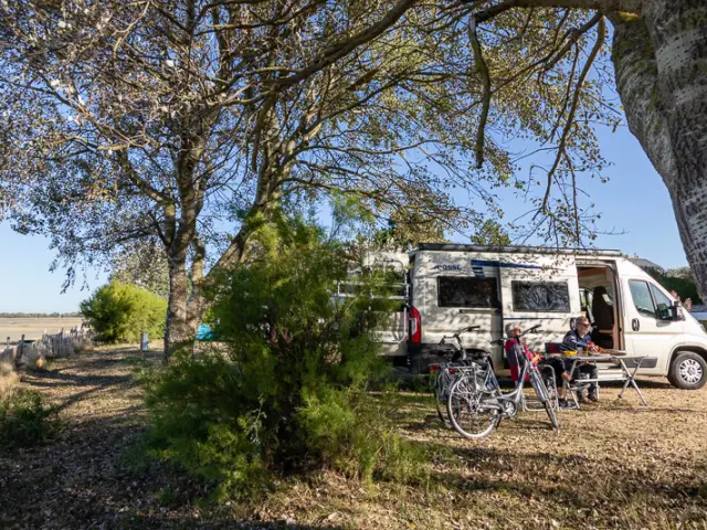 Un van aménagé stationné dans un camping avec des vélos à proximité