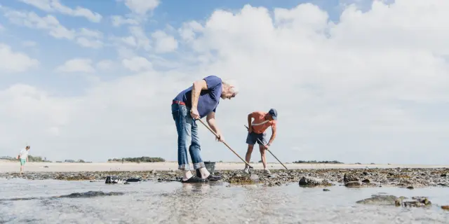Deux personnes ramassent des coquillages durant la pêche à pied sur une plage à marée basse à Agon Coutainville