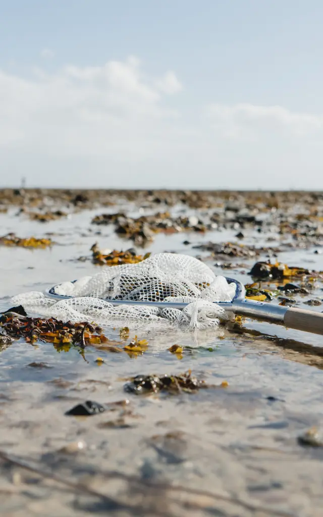 Filet de pêche posé sur le sable durant la marée basse à Agon Coutainville