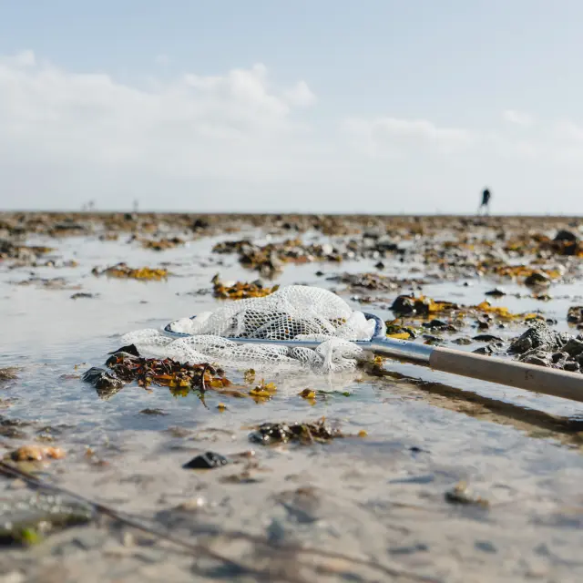Voiliers amarrés sur une plage au lever du jour