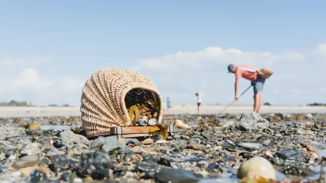 Ein Fischer sammelt Muscheln an einem felsigen Strand
