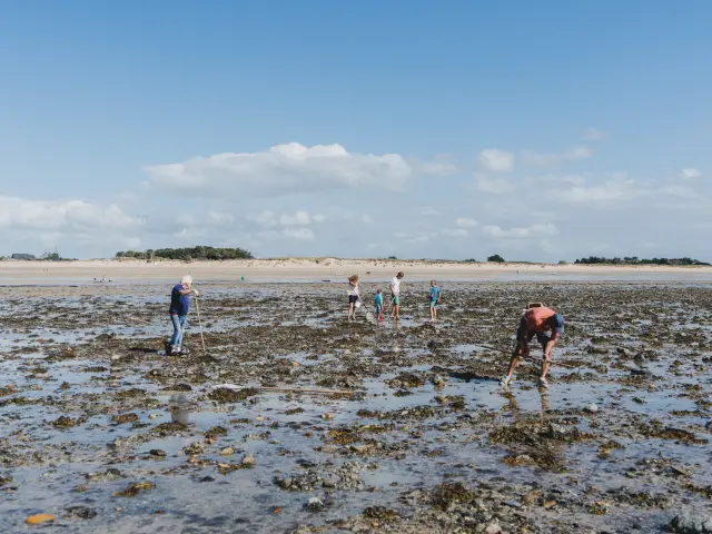 Group of people walking and searching for shells on the beach at low tide