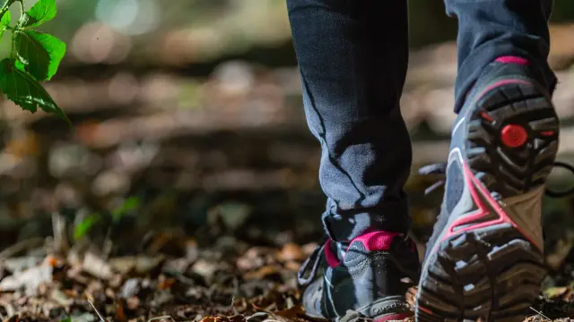 Pieds en marche dans une forêt avec des feuilles mortes au sol