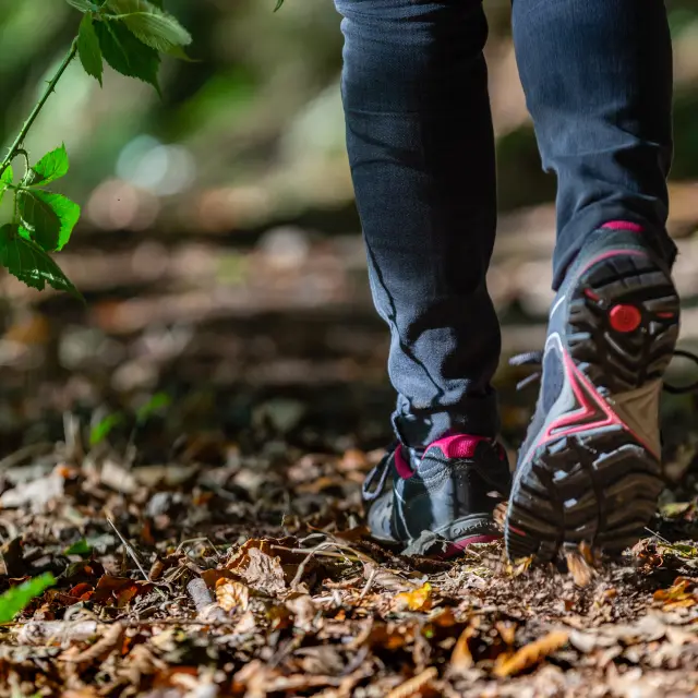 Pieds en marche dans une forêt avec des feuilles mortes au sol