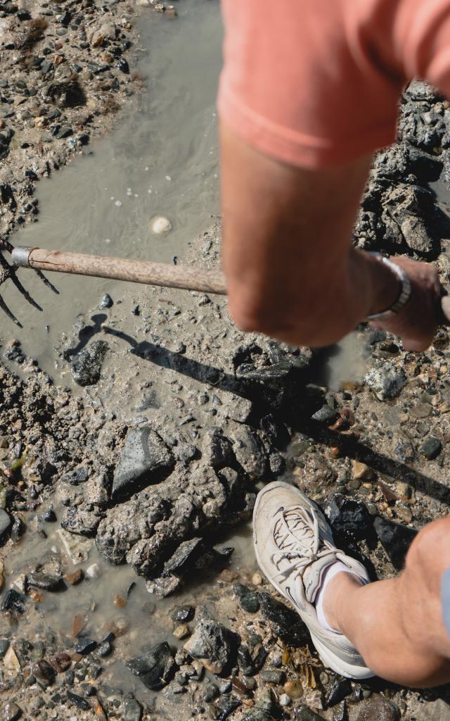 Pêcheur à pied à marée basse