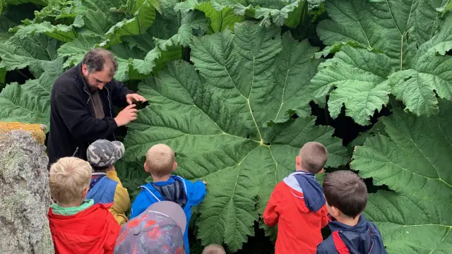Un groupe d'enfants observe de grandes feuilles avec un adulte au château de Vauville