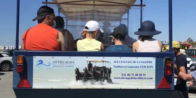 Instameet, attelages des grandes marées