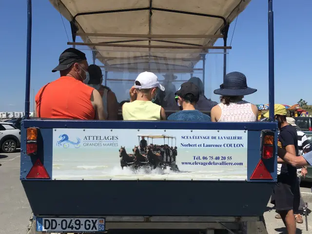 Attelage hippomobile avec des chevaux et des passagers sous un auvent, près de voiliers amarrés