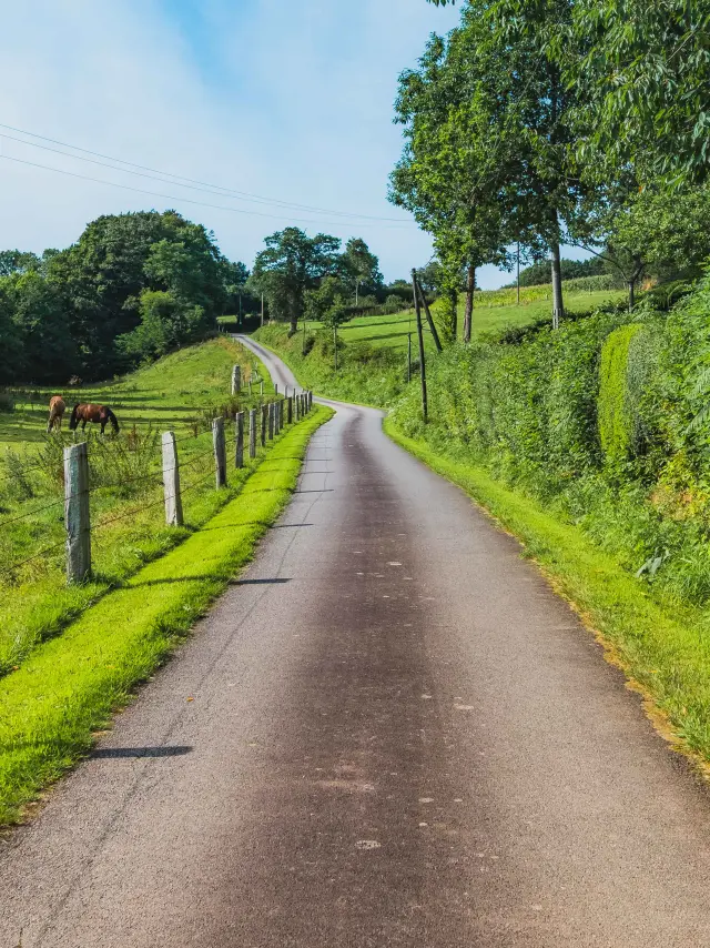 Kurvenreiche Straße, umgeben von Grünflächen und Holzzäunen