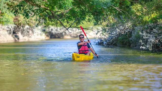 Person in a yellow kayak on a river surrounded by trees