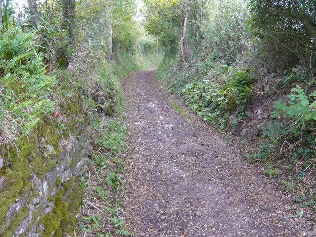 Muret Et Chemin Creux De Regnéville