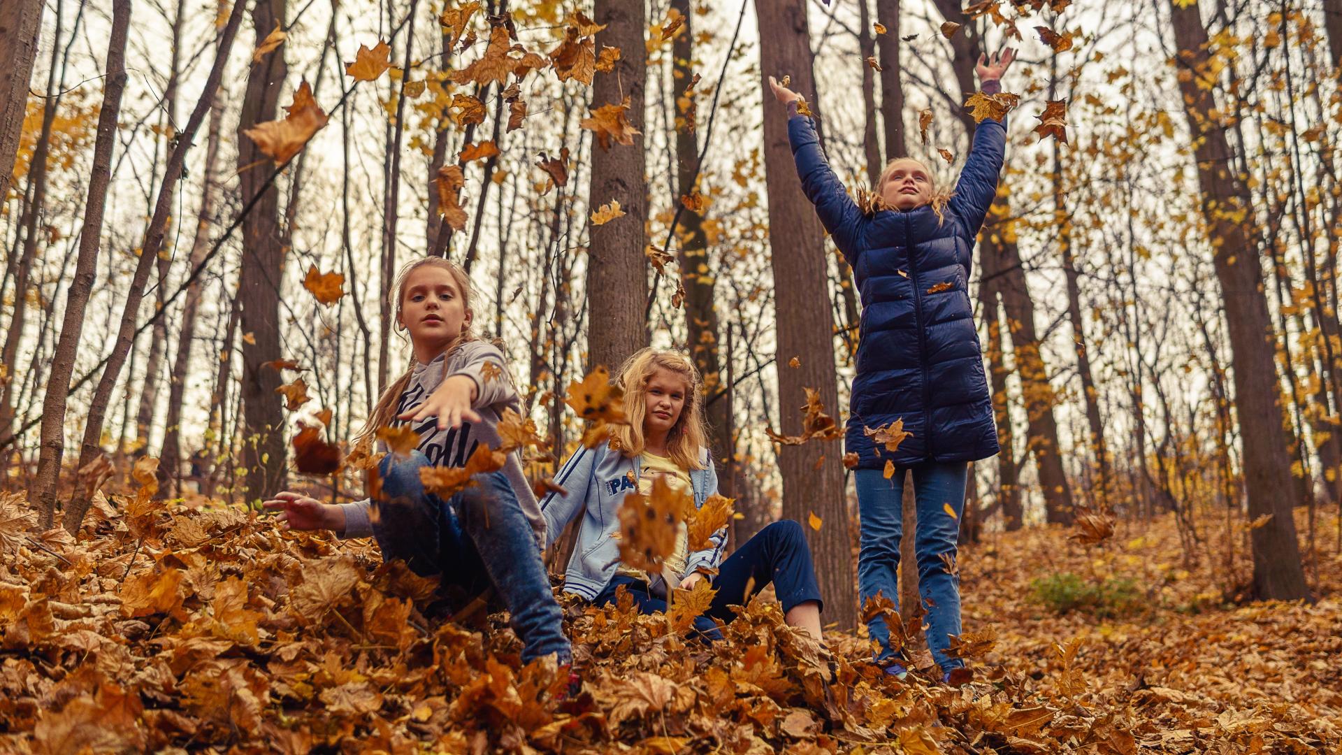 idée d'activité famille en automne à Coutances mer et bocage