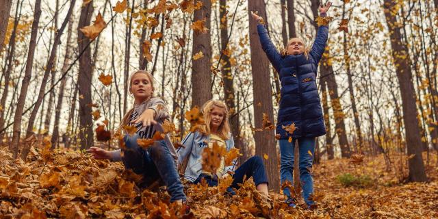 idée d'activité famille en automne à Coutances mer et bocage