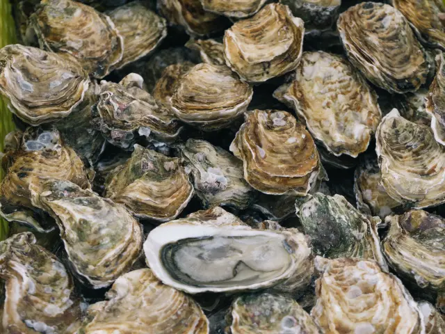 Coquillages et crustacés entassés dans une caisse en bois