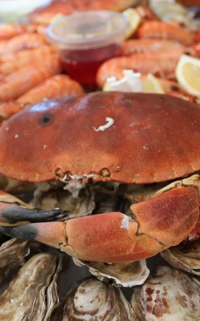 Teller mit Meeresfrüchten, darunter Krabben, Garnelen und Austern