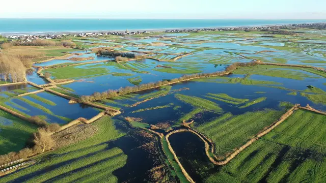 Vue aérienne de marais du Cotentin