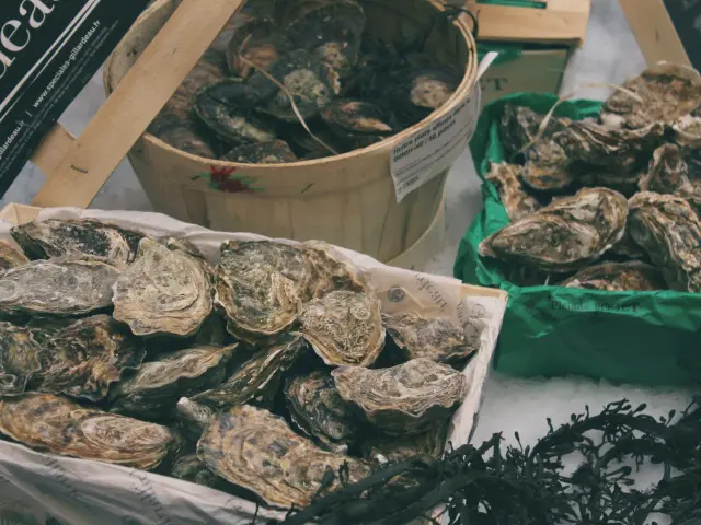 Huîtres fraîches dans des paniers et des bacs en plastique