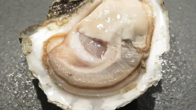 Huître ouverte avec son contenu visible, posée sur un lit de glace pilée