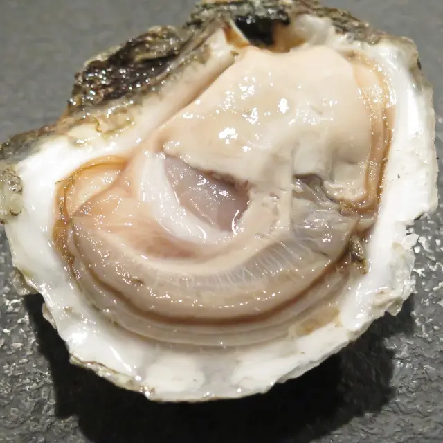Open oyster with its contents visible, placed on a bed of crushed ice
