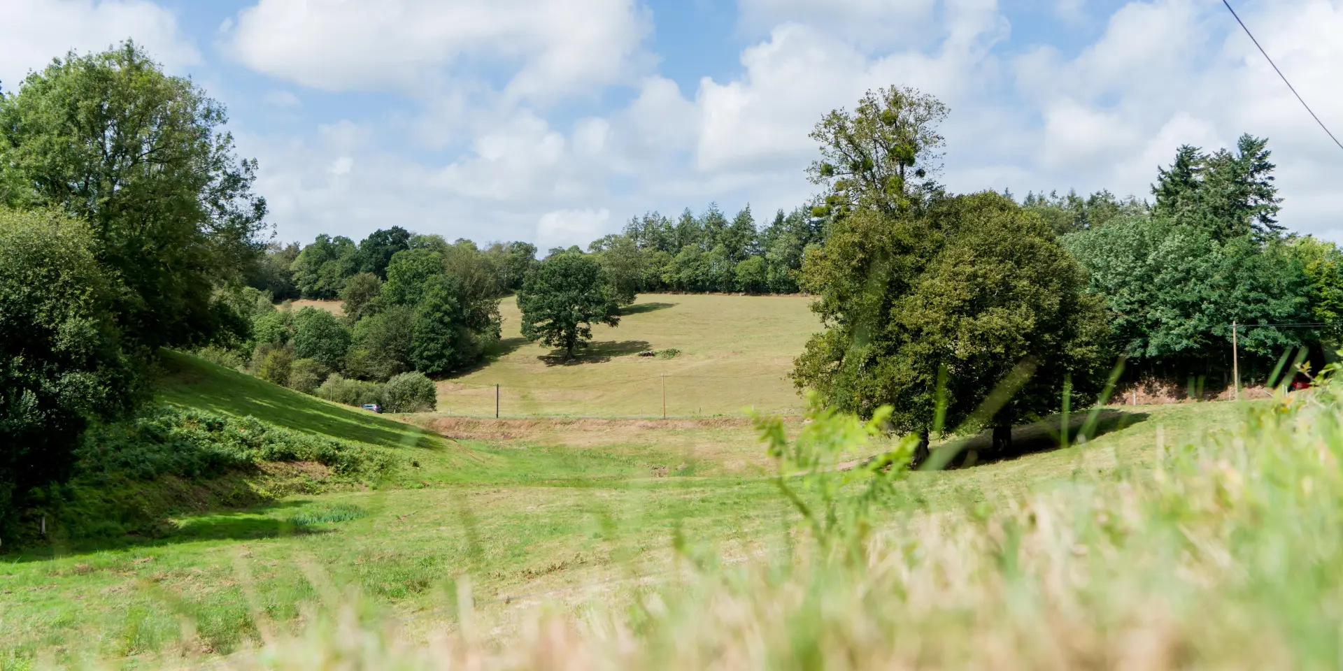 Ein grünes Feld mit Bäumen und einem blauen Himmel mit weißen Wolken