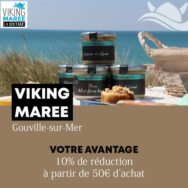 Promotion Viking Marée avec réduction de 10% à partir de 50€ d'achat