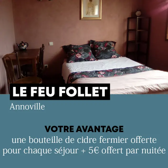 Chambre d'hôtel avec un lit double, une table et une chaise