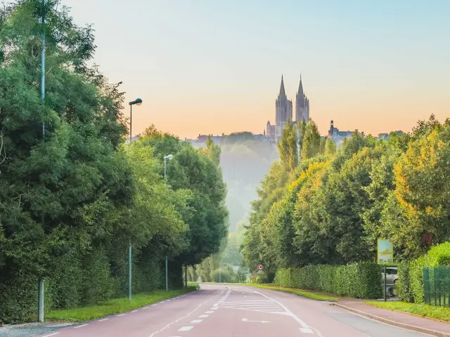 Route bordée d'arbres menant à une cathédrale