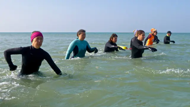 Un groupe de personnes en combinaison dans l'eau faisant du longe cote