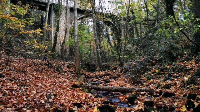 La Vallee Des Peintres A Carolles