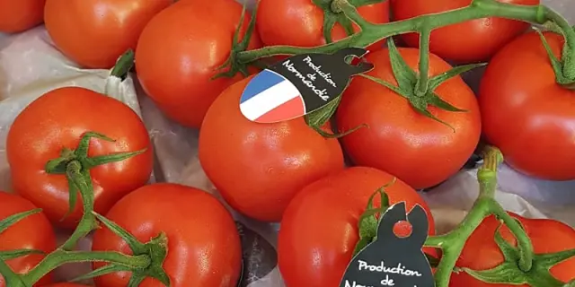 Tomates fraîches avec étiquettes indiquant 'Production de Normandie'