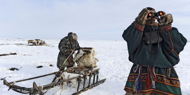 Nenets Fdimier 01